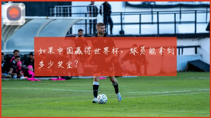 如果中国赢得世界杯，球员能拿到多少奖金？