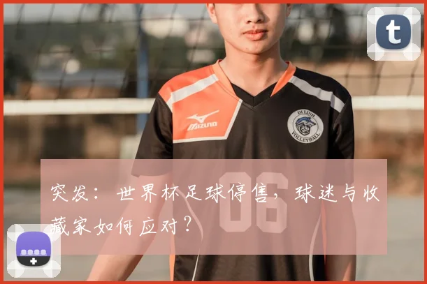 突发：世界杯足球停售，球迷与收藏家如何应对？