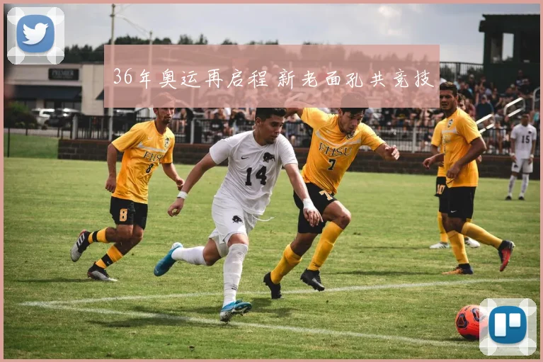 36年奥运再启程 新老面孔共竞技