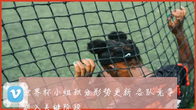 世界杯小组积分形势更新 各队竞争进入关键阶段