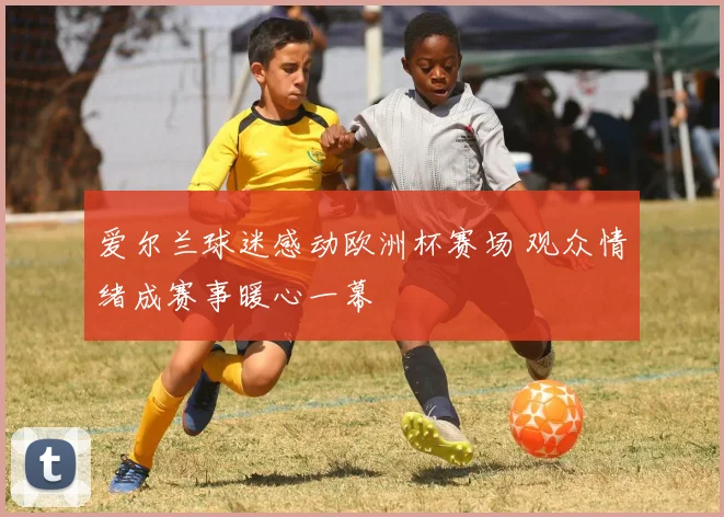 爱尔兰球迷感动欧洲杯赛场 观众情绪成赛事暖心一幕