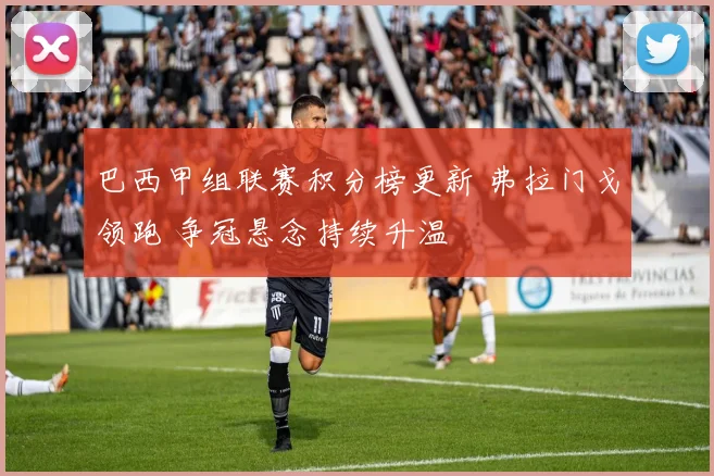 巴西甲组联赛积分榜更新 弗拉门戈领跑 争冠悬念持续升温