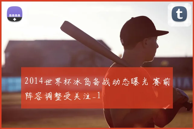 2014世界杯冰岛备战动态曝光 赛前阵容调整受关注_1