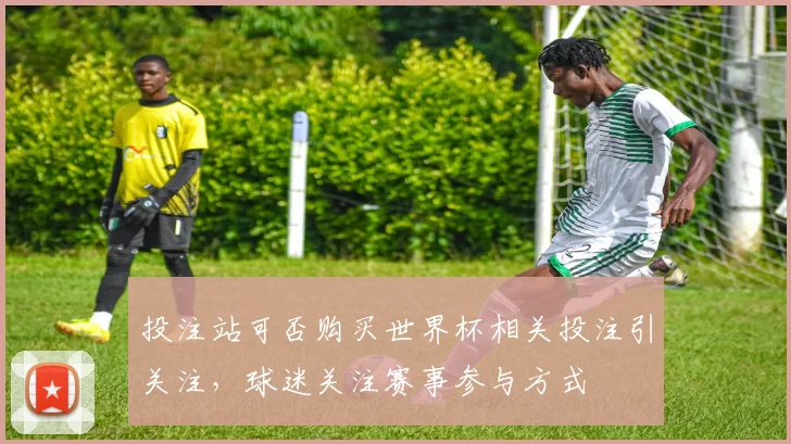 投注站可否购买世界杯相关投注引关注，球迷关注赛事参与方式