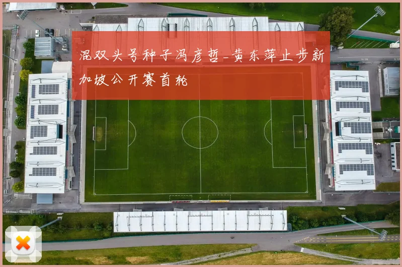 混双头号种子冯彦哲_黄东萍止步新加坡公开赛首轮